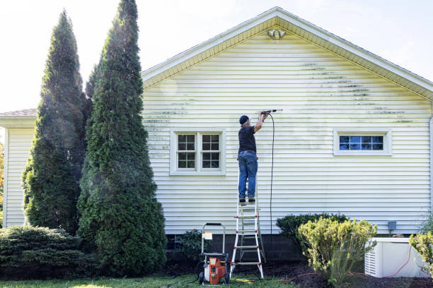 Best Roof Cleaning and Mildew Removal in Monticello, WI